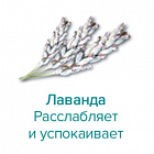 Ароматизатор для хамама Camylle Лаванда, 1 л