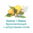 Ароматизатор для хамама Camylle Каяпут/Лимон, 500 мл